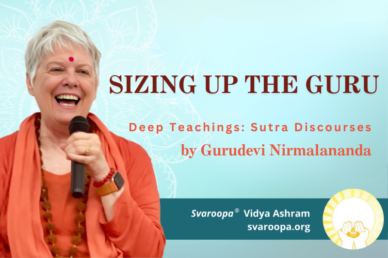 Sizing Up the Guru 11/5/25