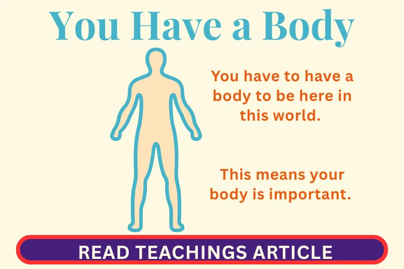 You Have a Body