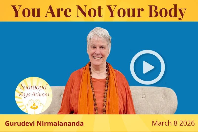 You Are Not Your Body