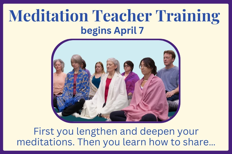 Meditation Teacher Training